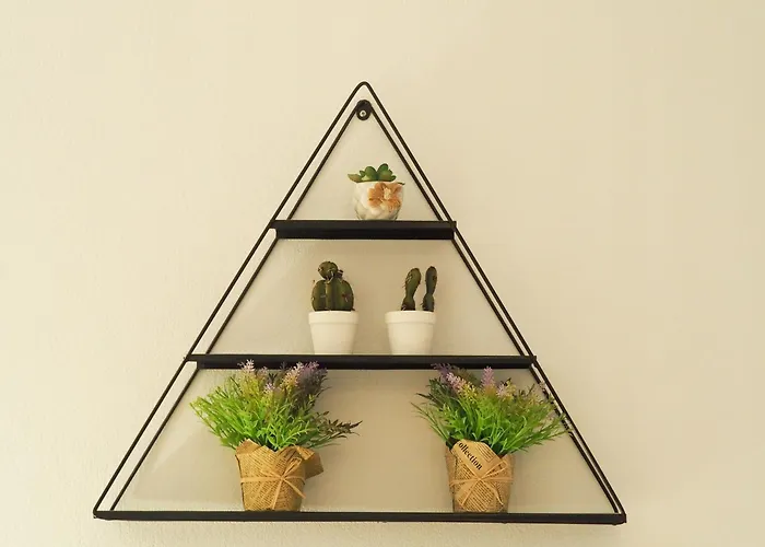 Domus F Apartament *